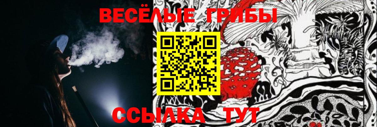 Михайловка  Галлюциногенные грибы Cubensis  Вход с VPN 